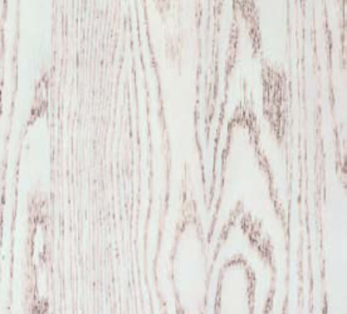 Rovere SPAZZOLATO SBIANCATO